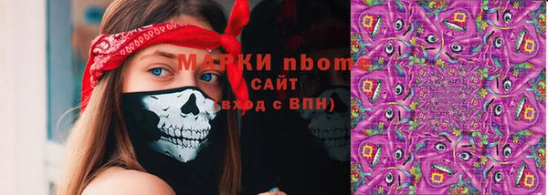 2c-b Бородино